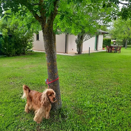 Casa Dora Tatil Evi *