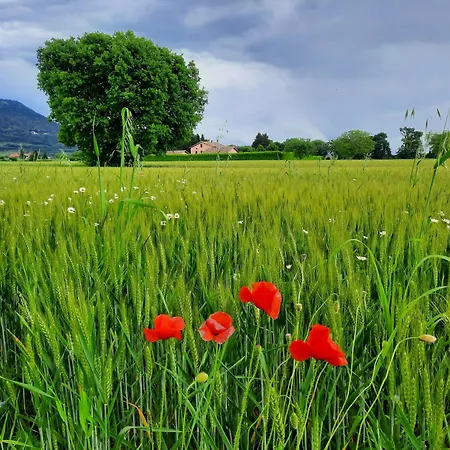 Casa vacanze Casa Dora *