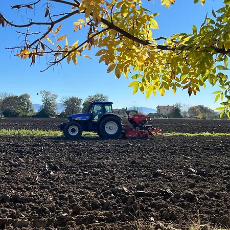 Casa Dora Casa vacanze *