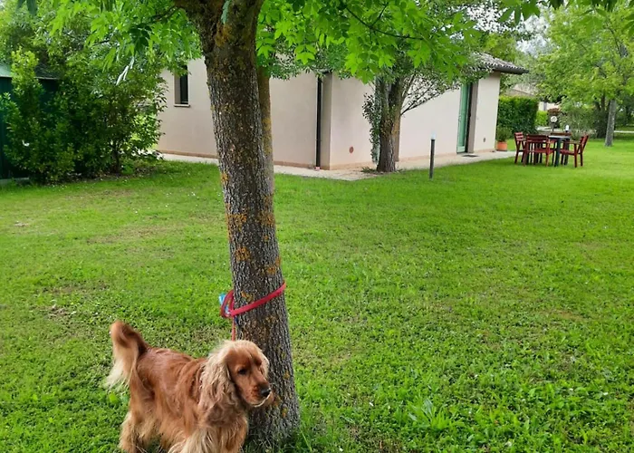 Casa Dora Casa vacanze *